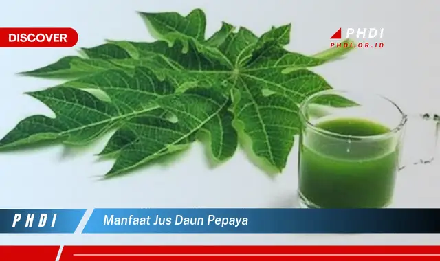 manfaat jus daun pepaya