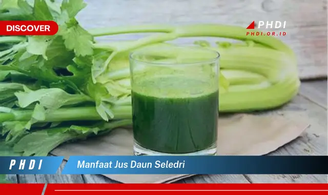 manfaat jus daun seledri