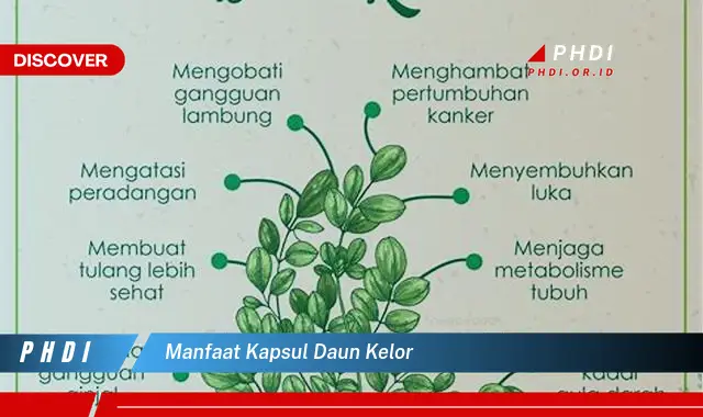 manfaat kapsul daun kelor