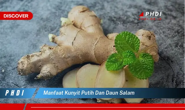 manfaat kunyit putih dan daun salam