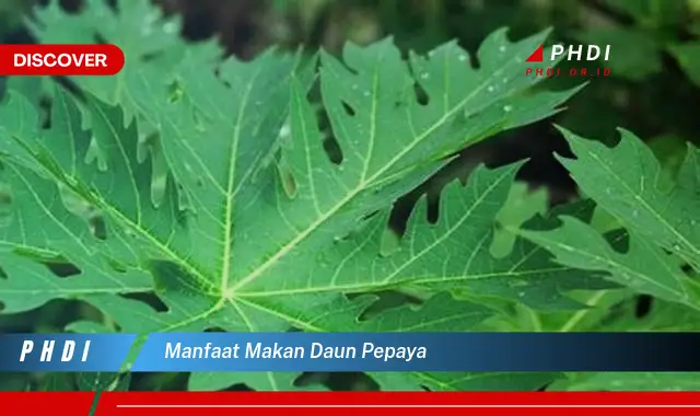 manfaat makan daun pepaya