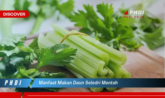 manfaat makan daun seledri mentah