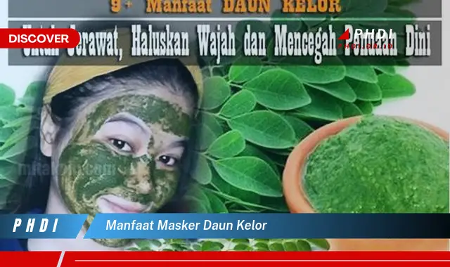 manfaat masker daun kelor