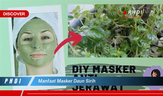 manfaat masker daun sirih