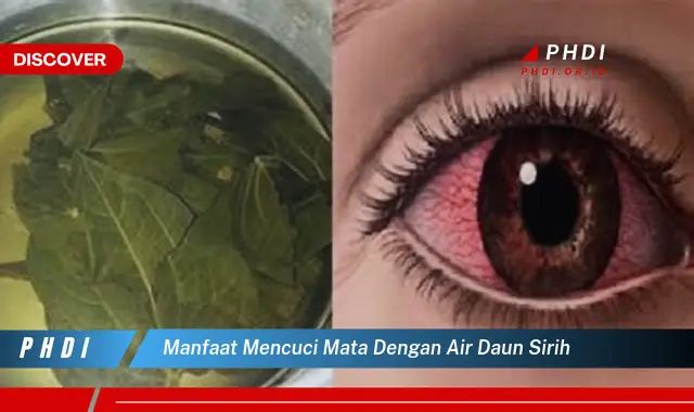 manfaat mencuci mata dengan air daun sirih