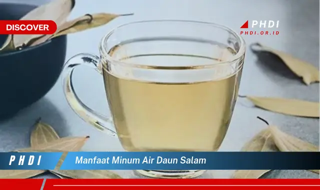 manfaat minum air daun salam