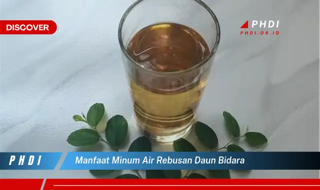 manfaat minum air rebusan daun bidara