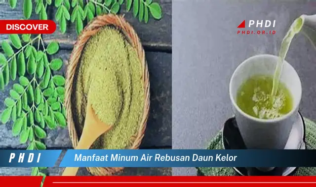 manfaat minum air rebusan daun kelor