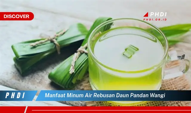 manfaat minum air rebusan daun pandan wangi