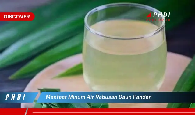 manfaat minum air rebusan daun pandan