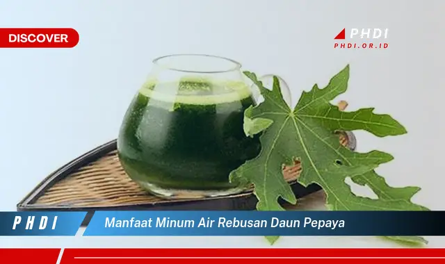 manfaat minum air rebusan daun pepaya