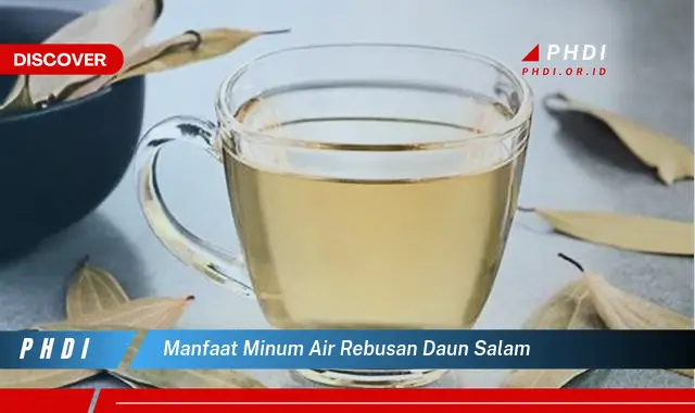 manfaat minum air rebusan daun salam