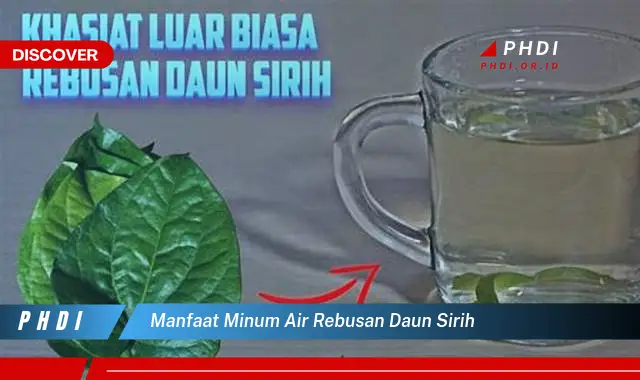 manfaat minum air rebusan daun sirih