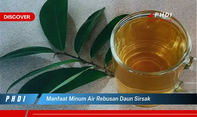 manfaat minum air rebusan daun sirsak