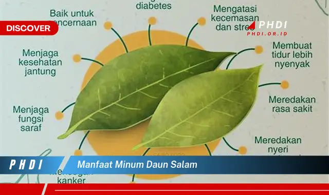 manfaat minum daun salam