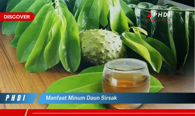 manfaat minum daun sirsak