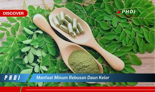 manfaat minum rebusan daun kelor