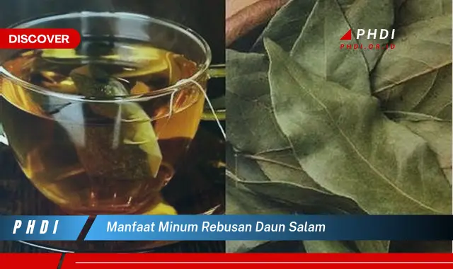 manfaat minum rebusan daun salam