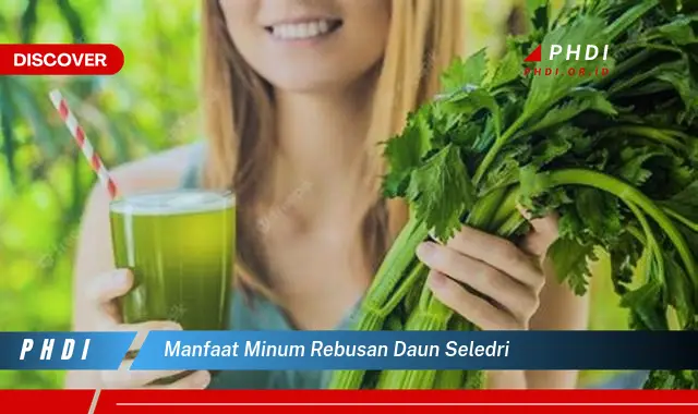 manfaat minum rebusan daun seledri