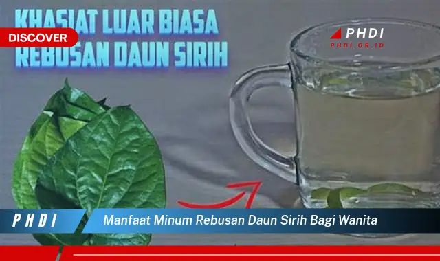 manfaat minum rebusan daun sirih bagi wanita