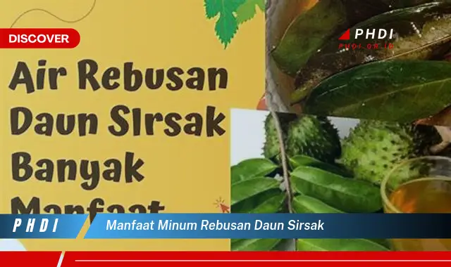 manfaat minum rebusan daun sirsak