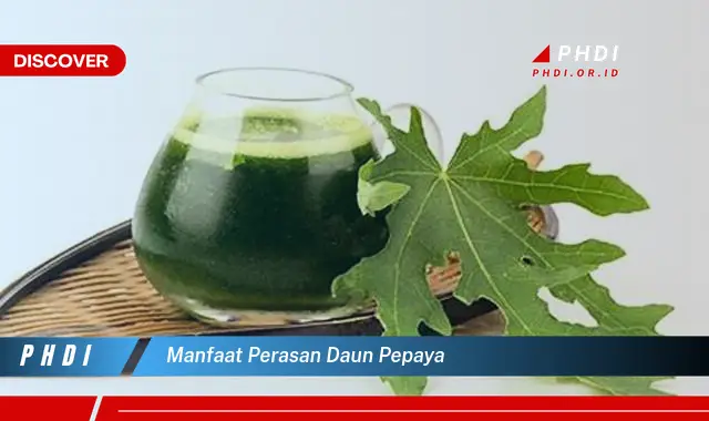 manfaat perasan daun pepaya