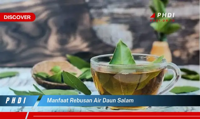 manfaat rebusan air daun salam