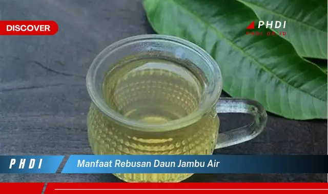 manfaat rebusan daun jambu air