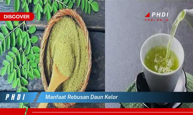 manfaat rebusan daun kelor