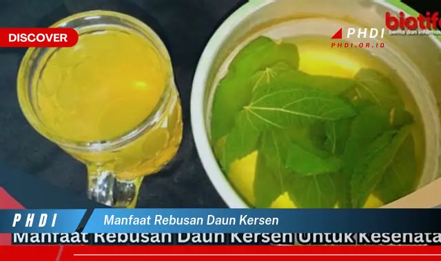 manfaat rebusan daun kersen