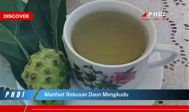 manfaat rebusan daun mengkudu