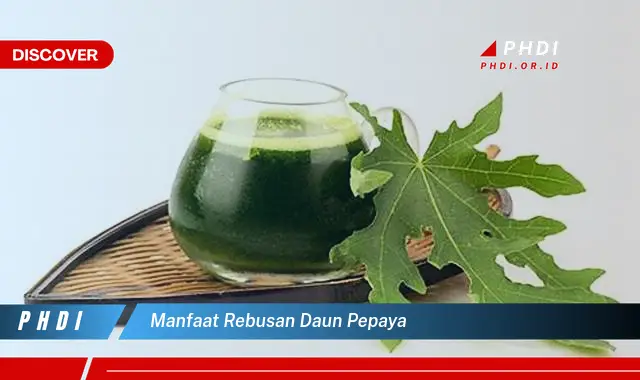 manfaat rebusan daun pepaya