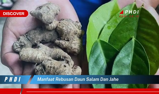 manfaat rebusan daun salam dan jahe