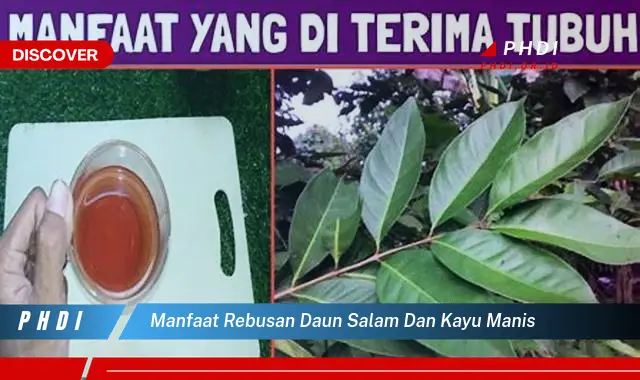 manfaat rebusan daun salam dan kayu manis