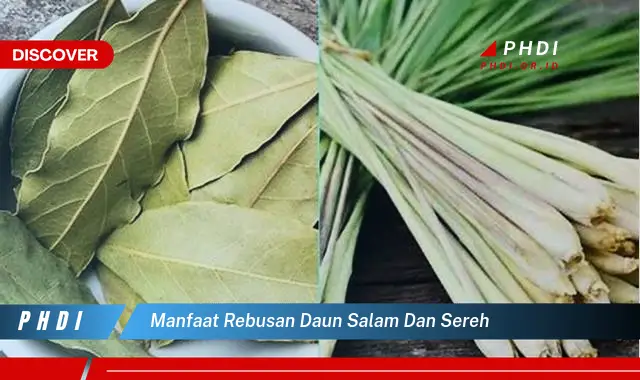 manfaat rebusan daun salam dan sereh