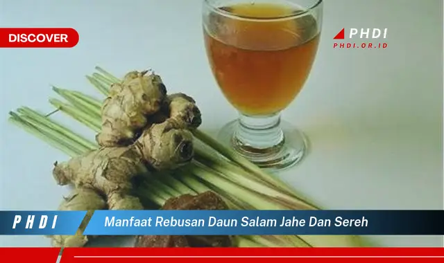 manfaat rebusan daun salam jahe dan sereh