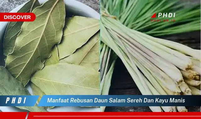 manfaat rebusan daun salam sereh dan kayu manis