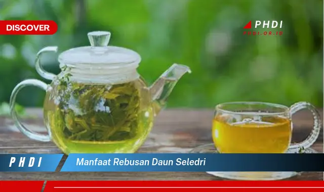 manfaat rebusan daun seledri