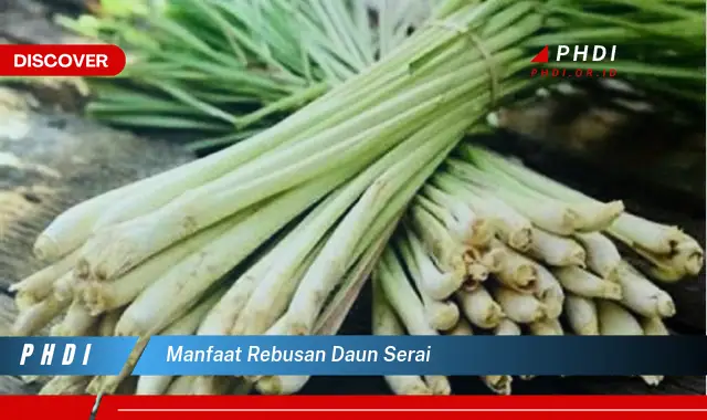 manfaat rebusan daun serai