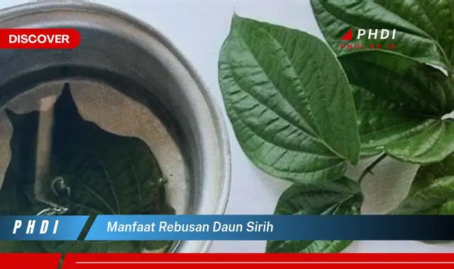 manfaat rebusan daun sirih