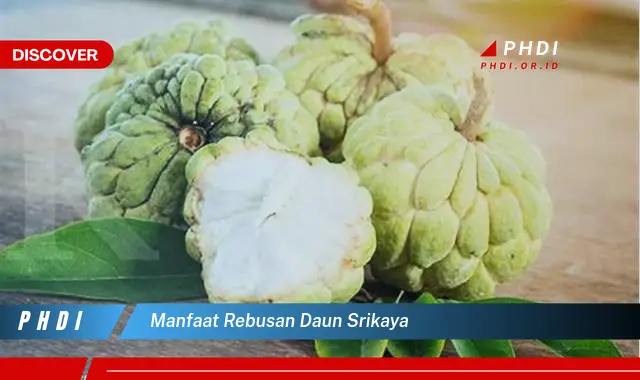 manfaat rebusan daun srikaya