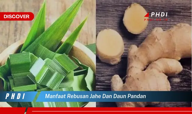 manfaat rebusan jahe dan daun pandan