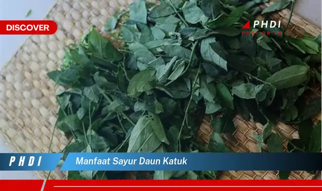 manfaat sayur daun katuk