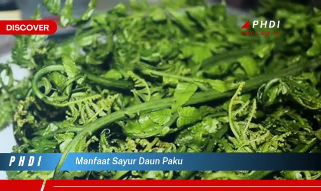 manfaat sayur daun paku