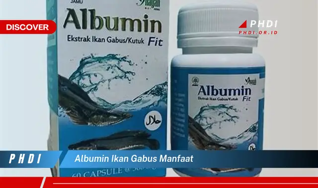 albumin ikan gabus manfaat