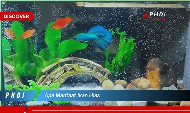 apa manfaat ikan hias