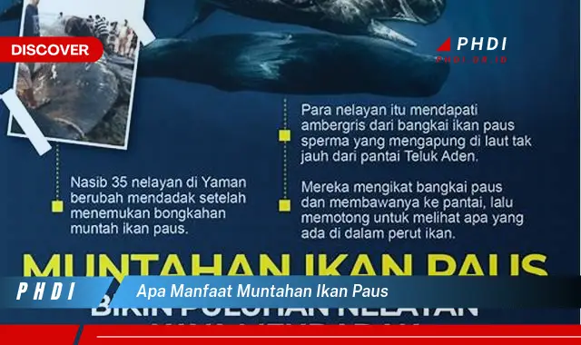 apa manfaat muntahan ikan paus