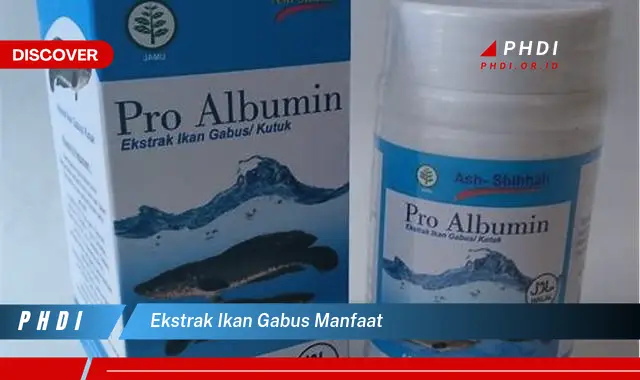 ekstrak ikan gabus manfaat