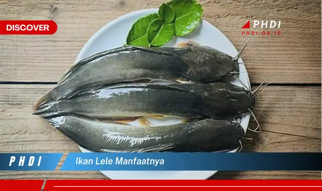 ikan lele manfaatnya