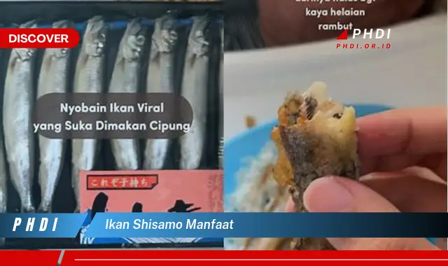 ikan shisamo manfaat